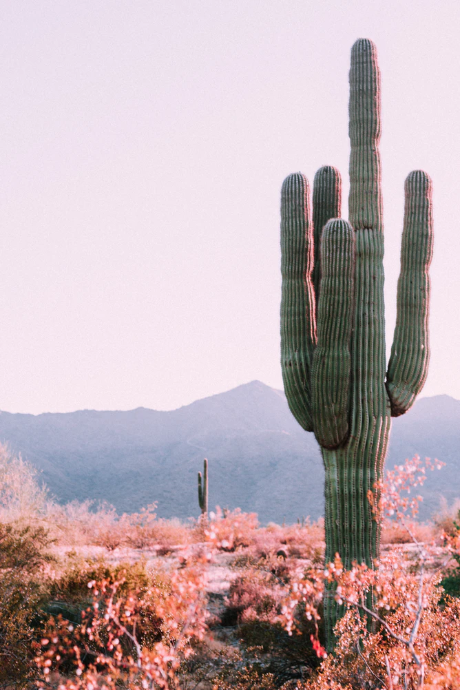 15 Reasons Arizona Is The Ultimate Adventure to Gift This Season